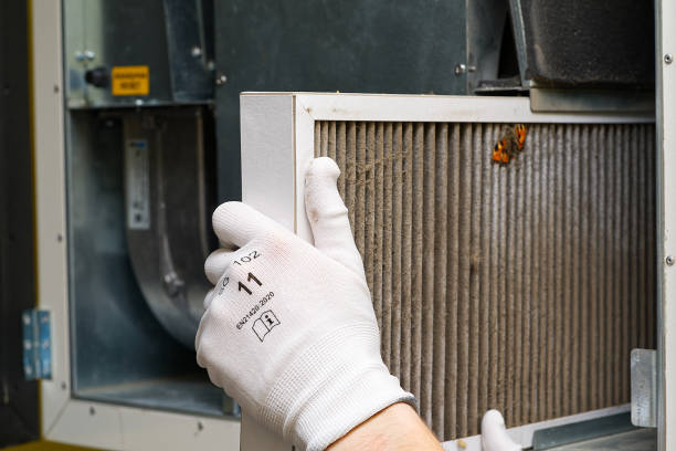 Best Residential Air Duct Cleaning  in Toulon, IL