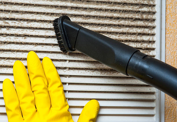 Best Affordable Air Duct Cleaning  in Toulon, IL